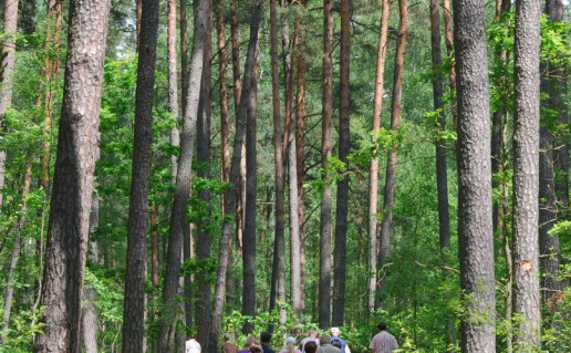 48. Žaliasis takas.jpg